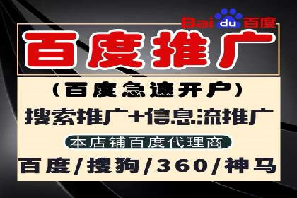 电子商务平台SEM托管的优化技巧
